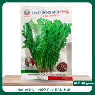 Cilantro seeds 50g, Trung Nong coriander seeds, fragrant coriander seeds with large leaves, good hea