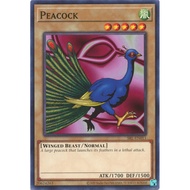 Yugioh Peacock - Spell Ruler (25th Anniversary) [SRL-EN011] Common