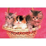 1000 pcs puzzle - 1000pcs jigsaw puzzle - Cat Puzzle - 1000 pieces jigsaw puzzle - original tomax pu