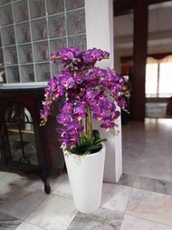 FLOOR ORCHID/GUBAHAN ORKID PREMIUM PASU BESAR TINGGI UNTUK RUMAH OFIS RAYA TERMURAH