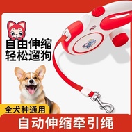 Dog Leash Automatic Retractable Dog Walking Leash Retractable 5m Explosion-Proof Punch One-Key Lock 