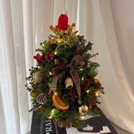 永生聖誕樹 聖誕樹 雪松 閃燈 聖誕禮物