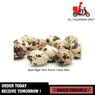 Quail Eggs Telur Puyuh 15pcs Pack