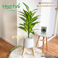 Large Fake Tree (26 Leaves) With Pot (Free!!Sprinkle Stone) Udomsap Height 75-90 Cm. Set In The Hous