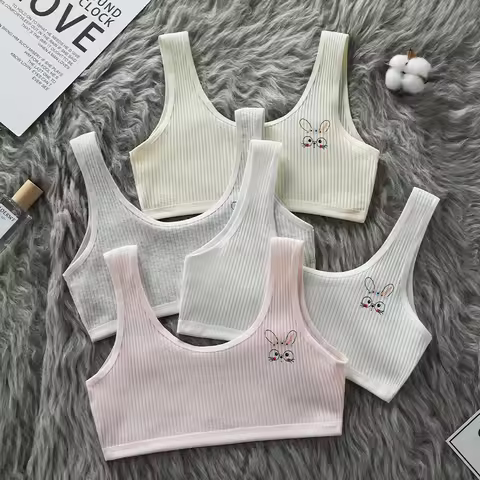 Girls' underwear development period, primary school students, cotton, 12 years old, 13 years old, ju