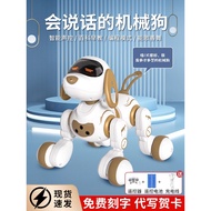Boy Birthday Gifts for Children 10 Years Old Ten Elementary School Students Boys Baby Two Years Old 