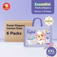 Faybel Baby Essestial PANTS Diaper - XXL 36pcs (PANTS)