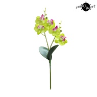 [SNNY]  Artificial Flowers Butterfly Orchid DIY Plant Wall Accessories Home Decoration