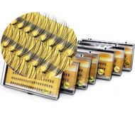 10D Eyelashes Fan-Shaped Roll 60 Clusters/Box Thickness 0.07/0.1 C Curling 6-14mm Length Beauty Make
