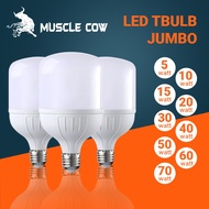 - Jumbo LED T Bulb Lamp 10W/15W/20W/30W/40W/50W/60W/70W