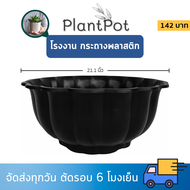 กระถาง อ่างเลี้ยงปลา อ่างบัว อ่างบัวจีบ 20 21 นิ้ว สีขาว สีโอ๊ค Bundle 3 ใบ ชิ้น อัน