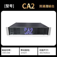 Professional High Power CA9 CA12 CA18 Stage Performance Home Use Singing Dual Channel Amplifier HiFi