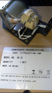 Optoma 奧圖碼 BL-FU240A DH1011 EH300 HD131X HD25投影機 副廠燈泡含支架