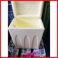 ☇◑ Styro Box Cooler Polar box small