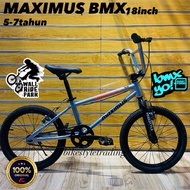 MAXIMUS BMX 18inch/Basikal budak 5-7tahun/Basikal kanak-kanak/Kids bicycle/BMX/Basikal murah/Basikal