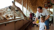 泰國-曼谷塞福瑞野生動物園門票 Safari World Ticket