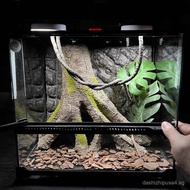 [Finished Landscaping Tank]Reptile Pet Landscaping Tank Eyelash Gecko Tree Dwelling Leopard Gecko Fa