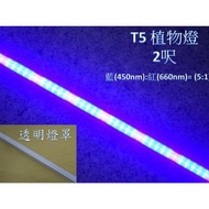 【ARS生活館】LED 植物燈 LED日光燈管 T5 2呎 藍(450m):紅(660nm)=5:1