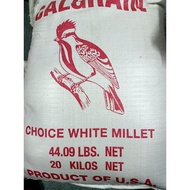 Sambau Putih USA Gred A [20Kg] White Millet Chicken Bird Feed Makanan Ayam Burung 白黍子