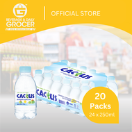 Cactus Mineral Water 24 x 250ml