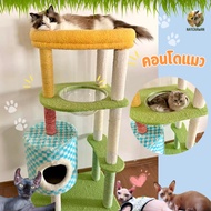 Cat Condo House Scratcher