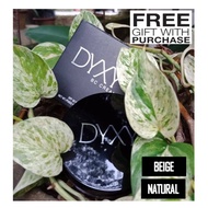 DYXY BC CREAM FOUNDATION VIRAL - 100% ORIGINAL