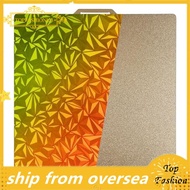 [TopFashion] Double-Sided Smooth Chameleon+Textured Build Plate 257x257mm,Flexible Spring Steel Buil