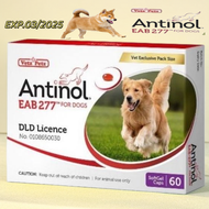 Antinol Dog อาหารเสริมบำรุงข้อสำหรับสุนัข บรรจุ 60 caps / 1 กล่อง