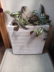 水泥牆掛式花盆