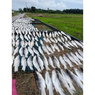 Ikan Masin(Ikan Belanak)