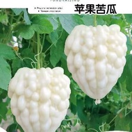 Four Seasons Sowing Apple Bitter Gourd Seeds Sweet Fruit Bitter Gourd Seeds Taiwan Apple Bitter Gour