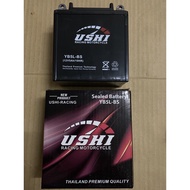 RANDOM BRAND SEALED BATTERY YB5L-BS/yb5l battery kering