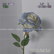 LP-6 QM🥻Moon God Gradient Blue Rose Simulation Fake Flower DecorationinsBlue and White Bridal Bouquet Decorative Ornamen