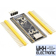 EWR27 STM32 STM32F4 STM32F411CEU6 Learning Board ARM Cortex M4