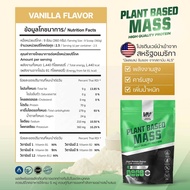 VERTECH NUTRITION โปรตีนพืช เพิ่มน้ำหนัก Plant Based Protein Mass Gainer 2 Lbs เพิ่มกล้ามเนื้อ BULK