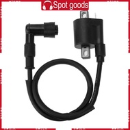 WIN Motorbike Ignition Coil for 125cc 150cc 200cc 250cc  Pressure Coil ATV