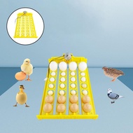 [szxmkj2lp] Egg Incubator Tray Automatic Turning Small er Household 220V 32 Eggs Tray for Bird Poult