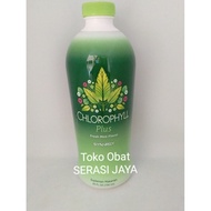 Synergy Chlorophyll Plus Fresh Mint Flavor 730 Food SupplementML