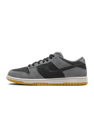 Nike SB Dunk Low Pro Skate Shoes