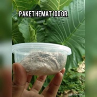 umpan kucur ikan baung paling ampuh ( kacong steven)