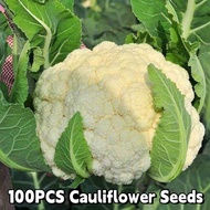 100Pcs/Pack Cauliflower Seeds-Hybrid Cauliflower Vegetable Seeds For Plangting