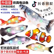 [Ready Stock] ikan Mainan Melompat Fish Gumpling Toys, Mainan Kucing Peliharaan, Toys Fish, Cat Fish