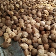 kelapa parut kering #santan #kara #kelapakering
