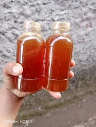 madu lebah klanceng /Madu trigona alami/madu bambu