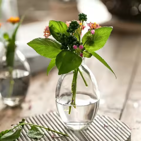 Transparent Glass Vase Avocado Seed Starters Vase Seed Growing Kit Avocado Vase For Growing Gift For