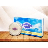 GANO SOAP (100g x 2) - GANO EXCEL