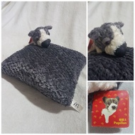 Authentic Artlist The Dog - Papillon Plush Soft Toy Cushion / Pillow