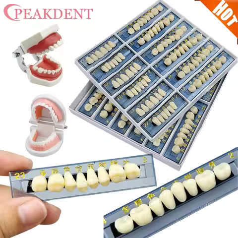 168Pcs/Box Dental Teeth Anterior Posterior Polymer Denture acrylic Tooth A2 2 Layers Teeth Upper and