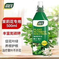 Shangyang Jasmine Flower Special Plant Nutrient Solution Gardening Bonsai Fertilizer Flower Hydroponic Organic Planting