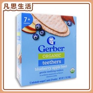 Gerber - 嘉寶 有機磨牙米餅 藍莓蘋果紅菜頭味 48克 (2片 x 12包) #49683
